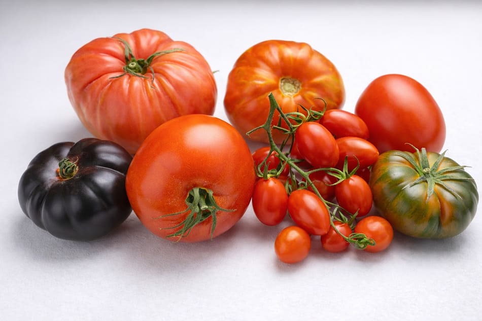 las mejores variedades de tomates