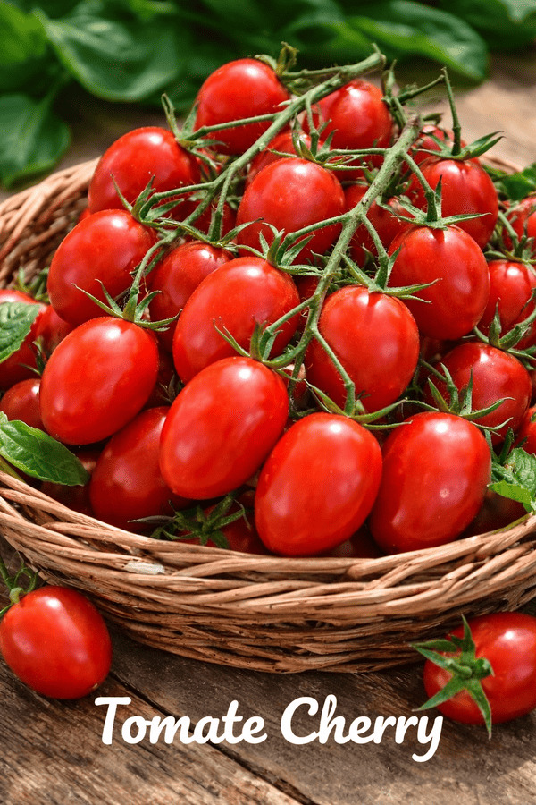 tomate cherry caparros