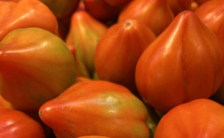 Feria del Tomate del perello 2026